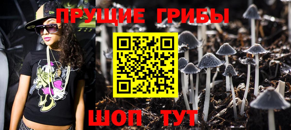 Кольчугино  наркотики  Вход с VPN  Галлюциногенные грибы Psilocybe 