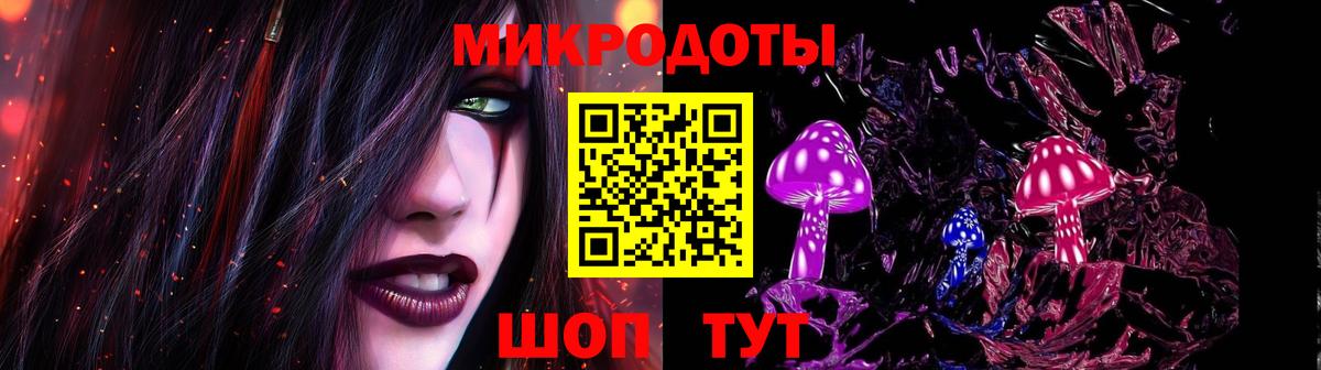 Галлюциногенные грибы Psilocybe Кольчугино